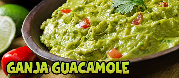 Guacamole1