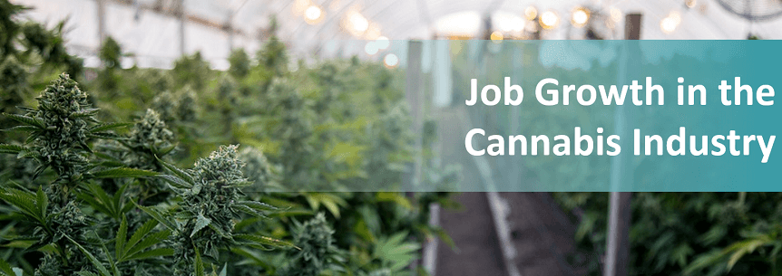 cannabis industry jobs