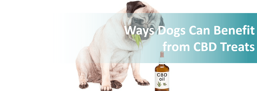 cbd dog benefits