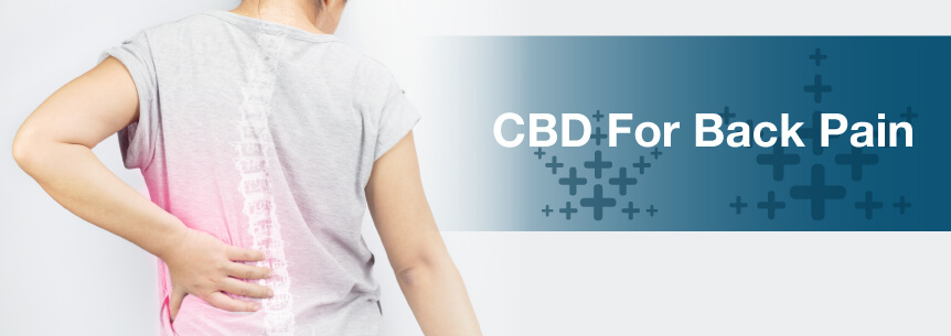 cbd for back pain