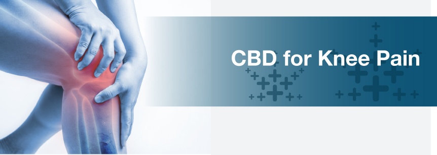 cbd for knee pain