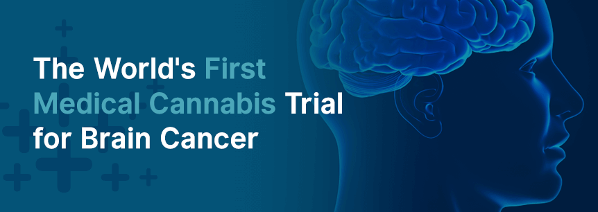 cannabis brain cancer trial