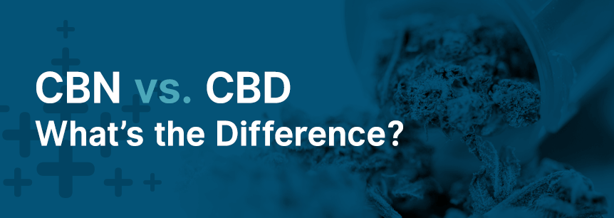 CBN vs. CBD — What’s the Difference?