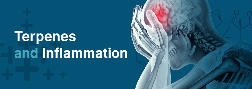 terpenes for inflammation