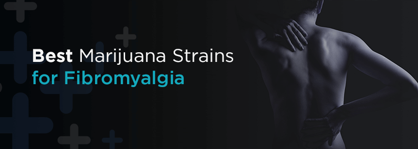 Best Medical Marijuana Strains for Fibromyalgia