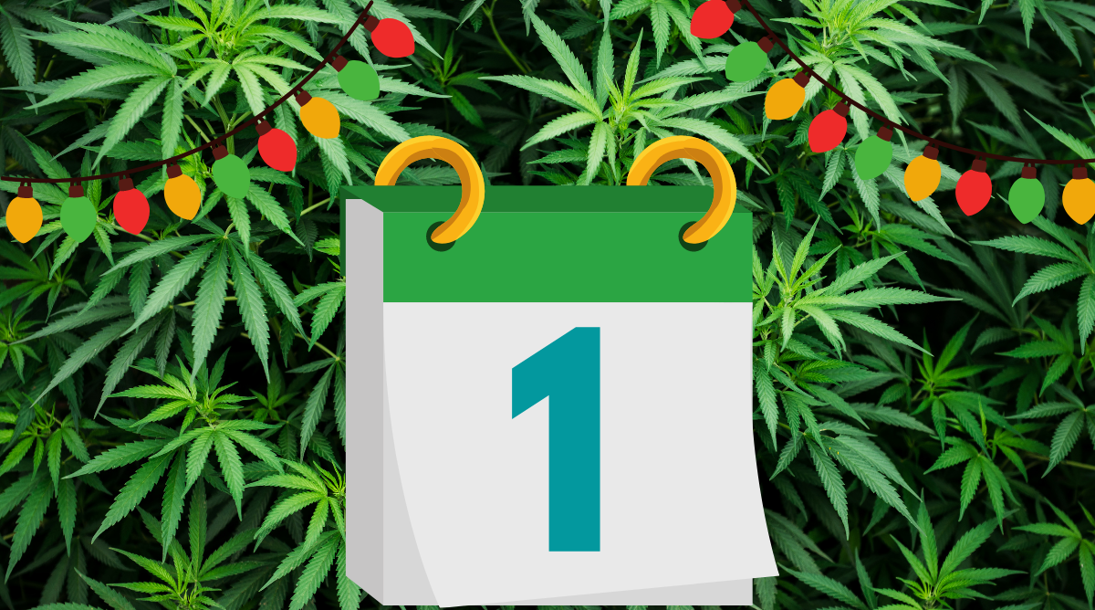 The 12 Days of Kushmas: A High Holiday Song