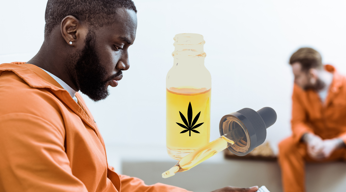 Free Cannabis to Curb Prison Overdose Deaths?