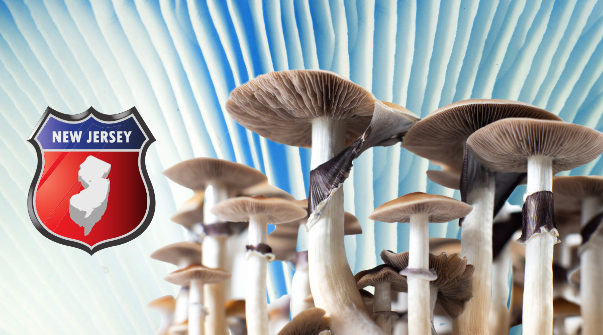 New Jersey psilocybin laws