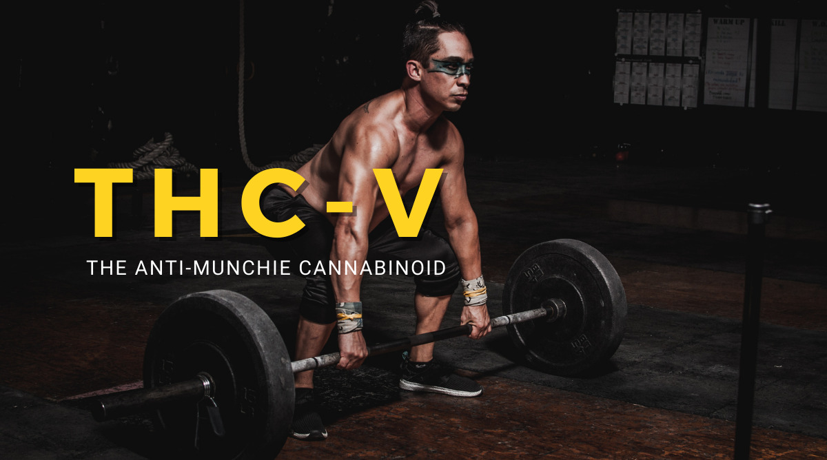 THC-V WEIGHT LOSS